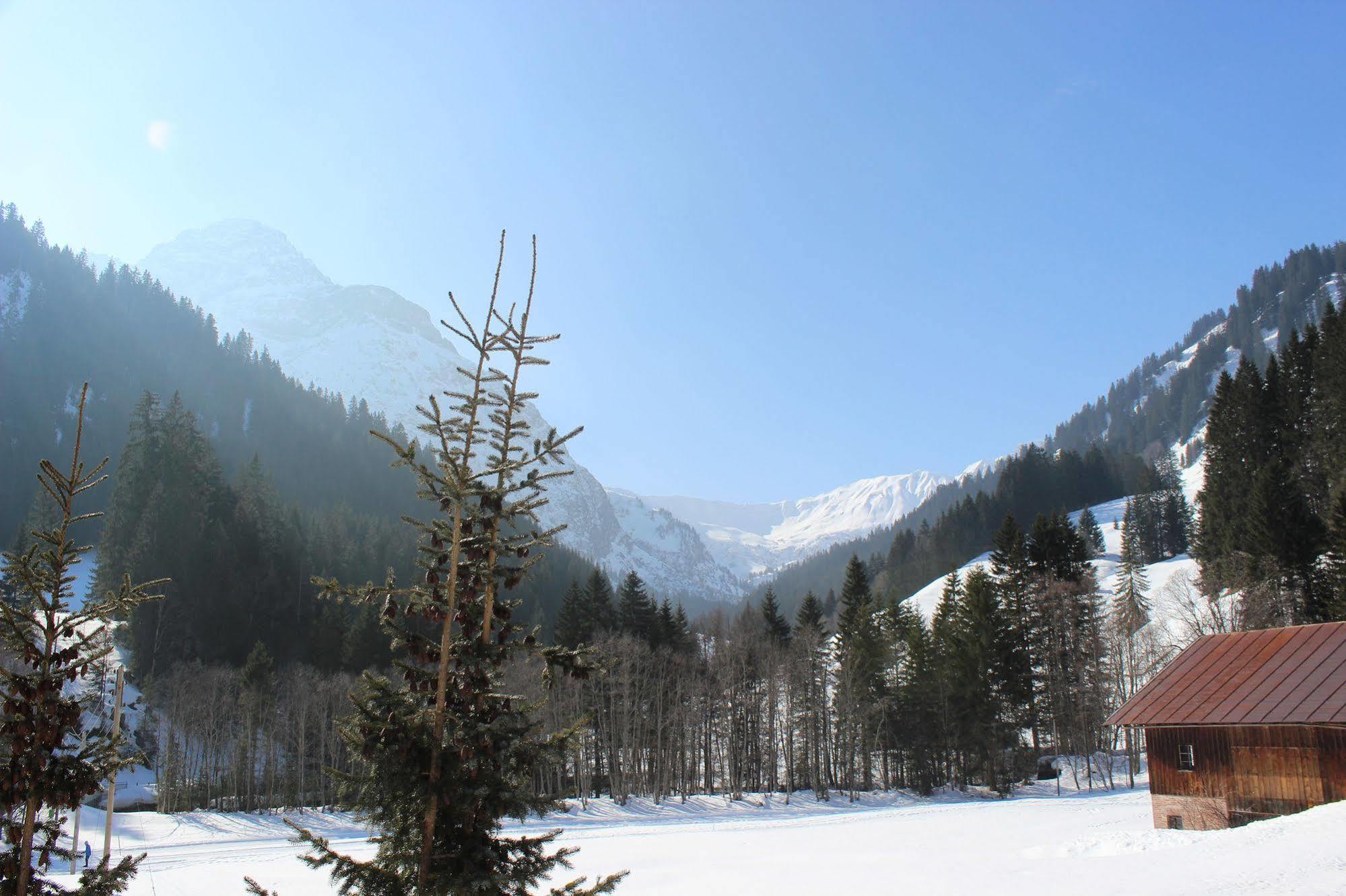 Alpenhotel Widderstein Mittelberg Buitenkant foto